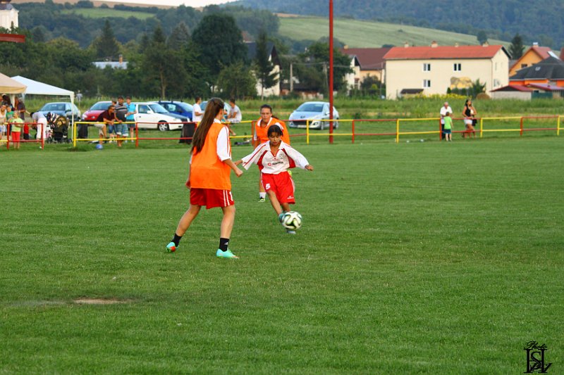 Sportovy den 2014   403.JPG